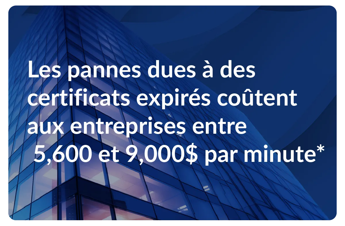 SCM FR 2024 06 04 182748 ltco