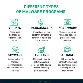 1 A definition of malware 1