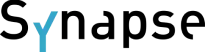 Login19 Synapse
