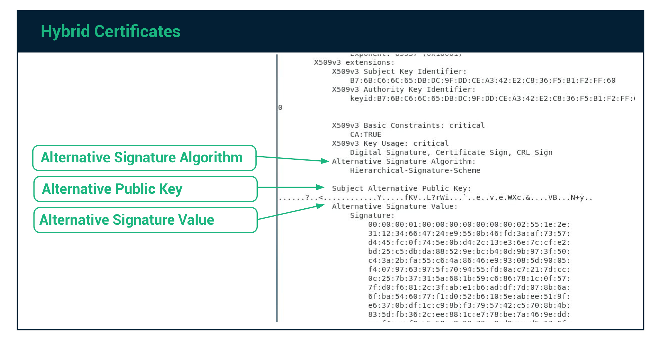 Hybrid certificates are cross-signed certificates containing both a traditional (RSA or ECC) key and signature, and a quantum safe key and signature.