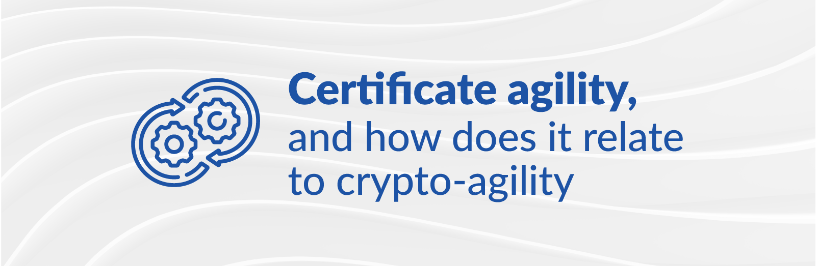 certificates crypto agility