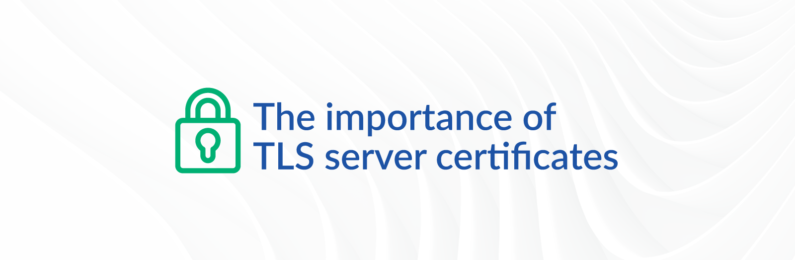 The importance of TLS server certificates